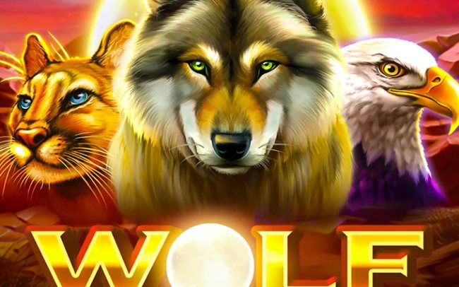 Wolf Spins 243