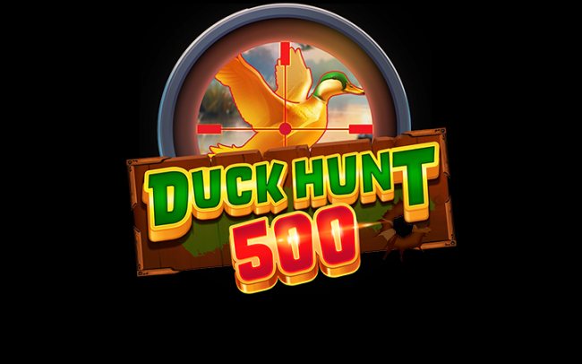 Duck Hunt 500