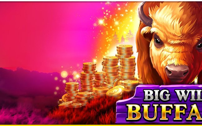 Big Wild Buffalo