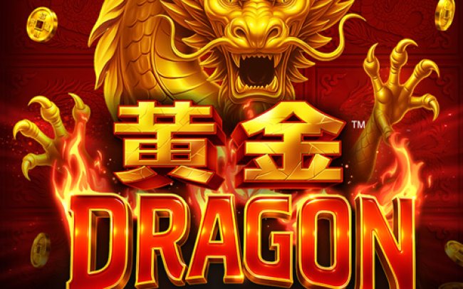 Coins of Dragon