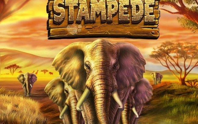 Stampede