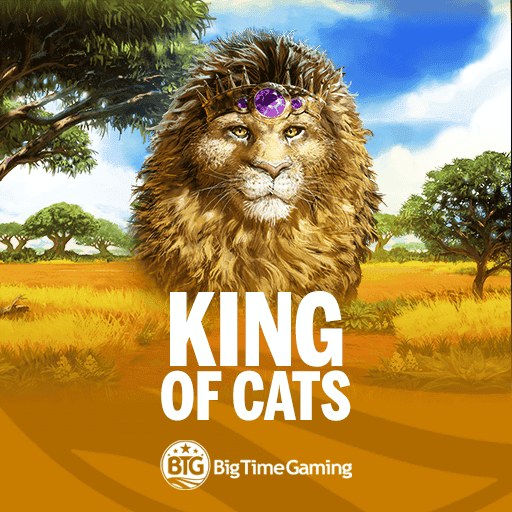 King of Cats