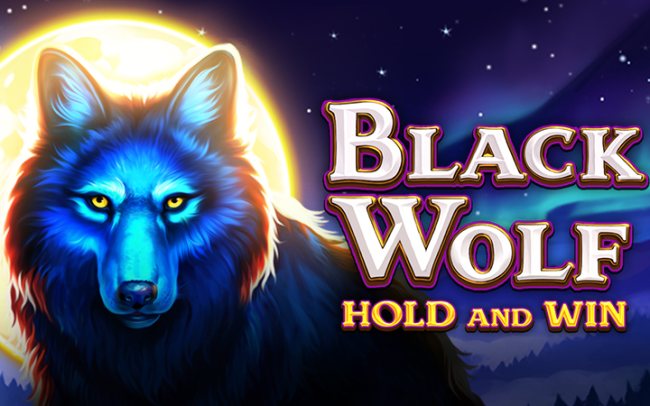 Black Wolf Hold and Win
