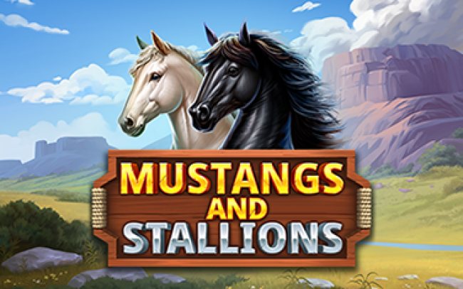 Mustangs and Stallions