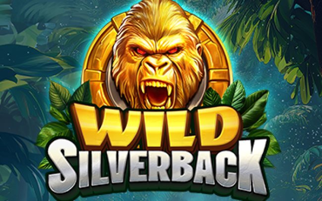 Wild Silverback