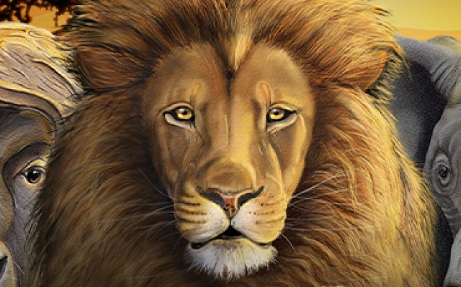Safari