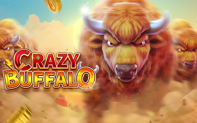 CRAZY BUFFALO