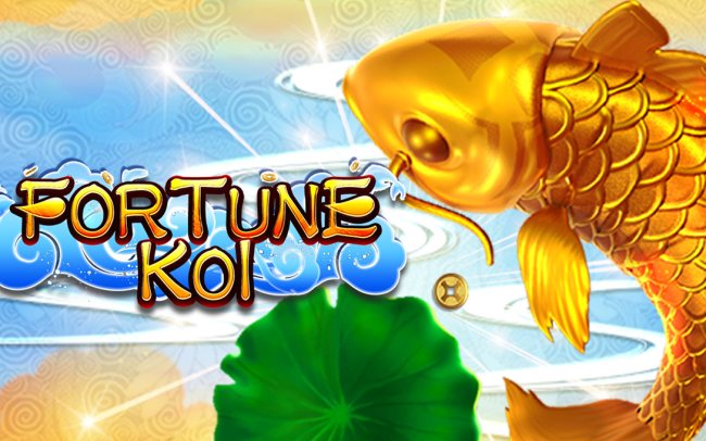 FORTUNE KOI