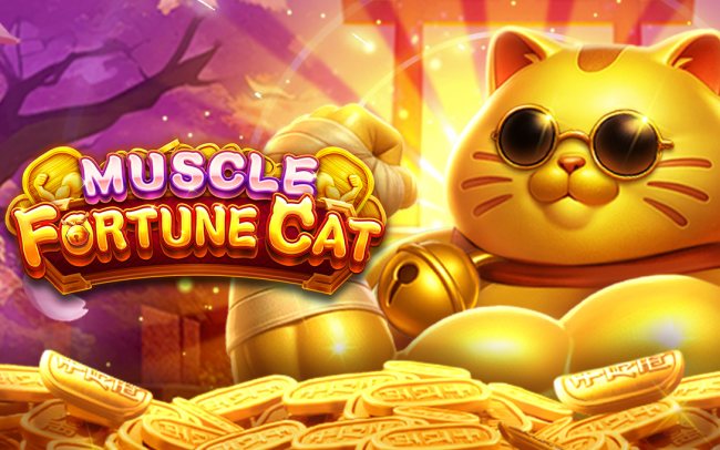 MUSCLE FORTUNE CAT