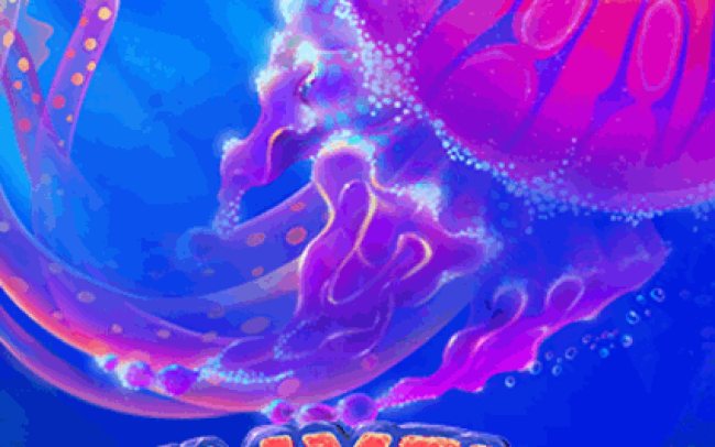 Jellyfish Flow