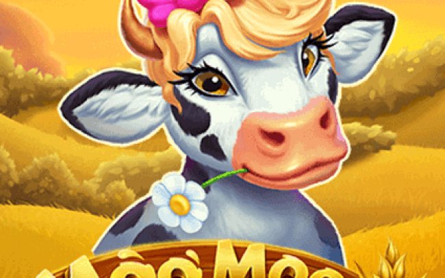 Moo Moo Cow