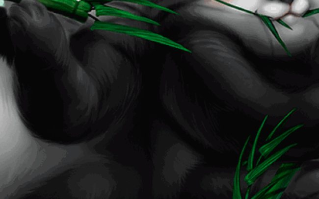 Panda Panda