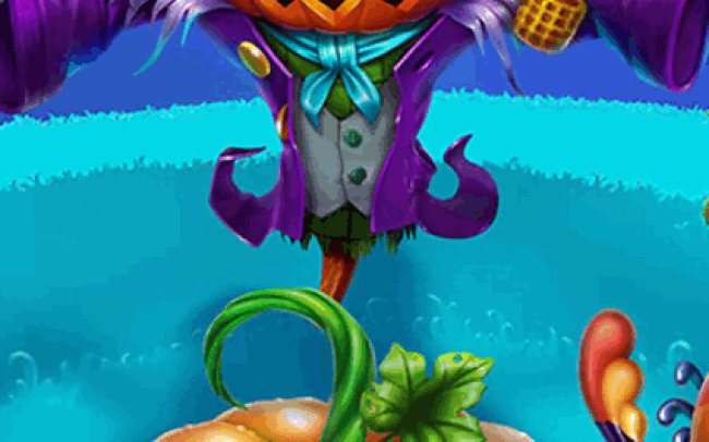 Pumpkin Patch