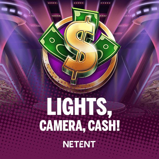 Lights, Camera, Cash!