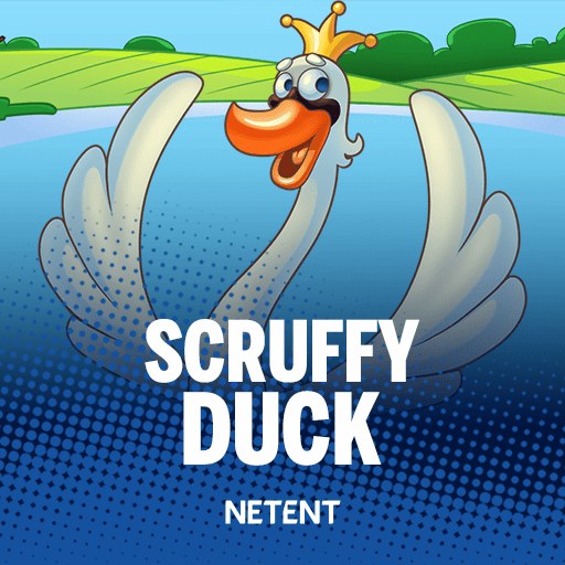 Scruffy Duck