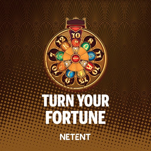 Turn Your Fortune™