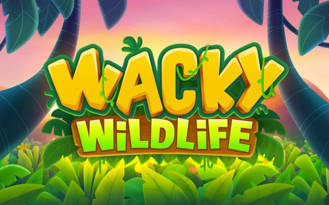Wacky Wildlife