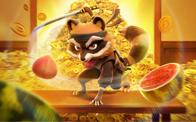 Ninja Raccoon Frenzy