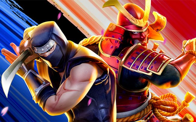 Ninja vs Samurai