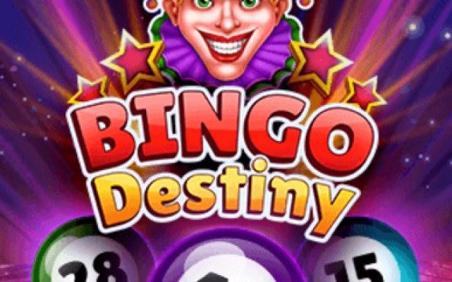 Bingo Destiny