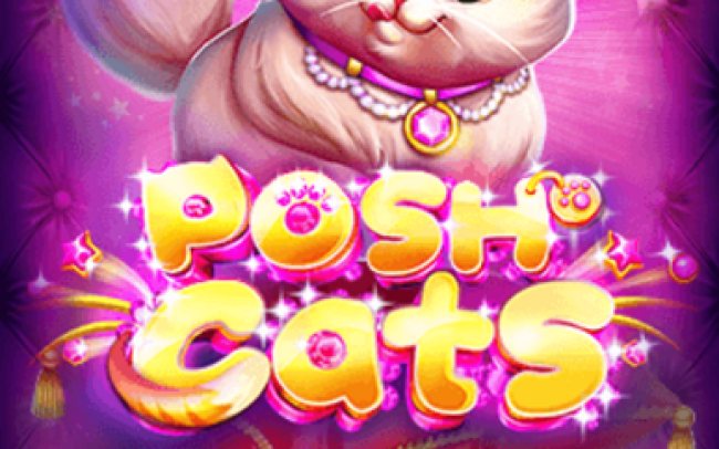 Posh Cats