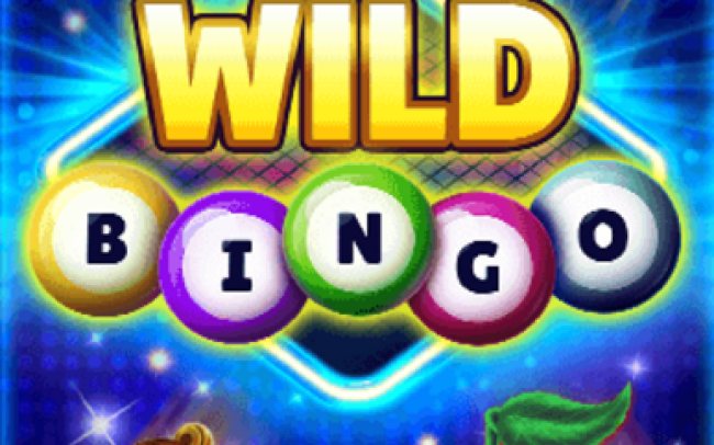 Wild Bingo