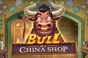 Bull in a China Shop