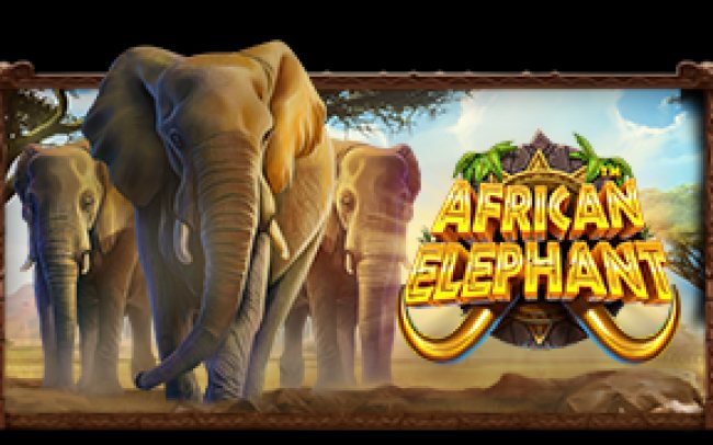African Elephant™