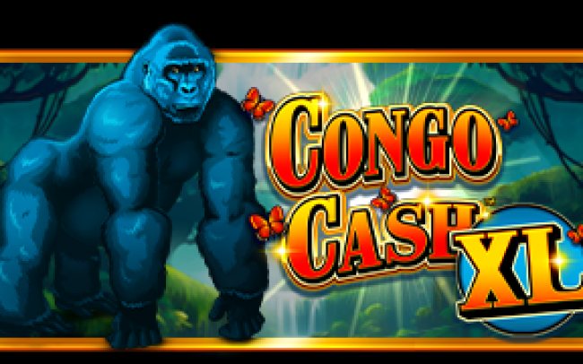 Congo Cash XL