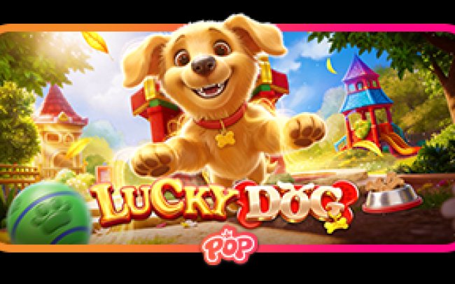 Lucky Dog