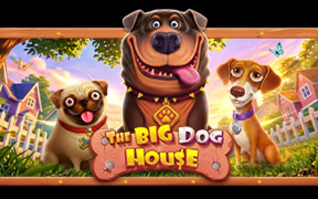 The Big Dog House