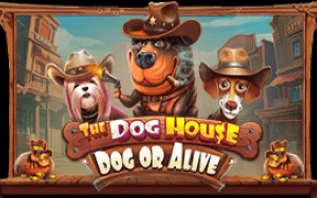 The Dog House – Dog or Alive