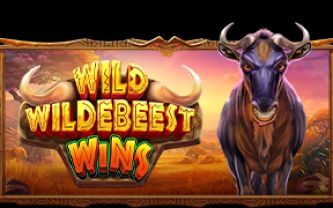 Wild Wildebeest Wins