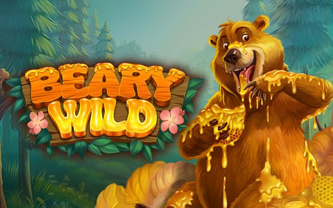 Beary Wild