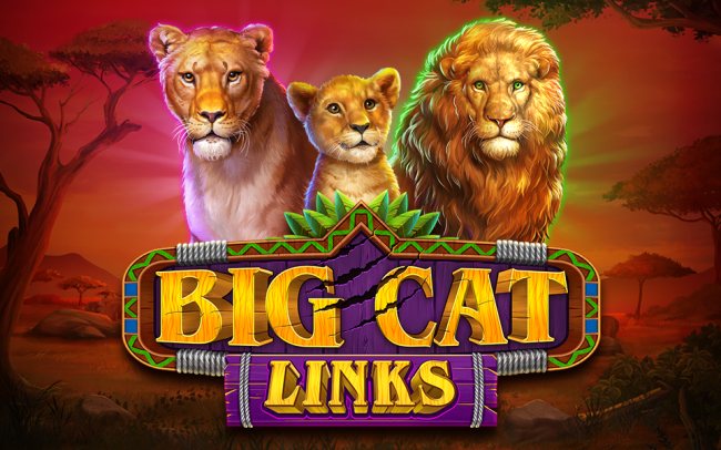 Big Cat Links