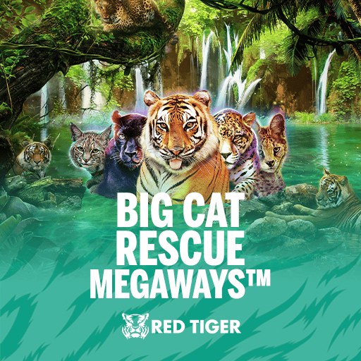 Big Cat Rescue Megaways™