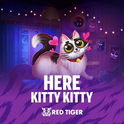 Here Kitty Kitty