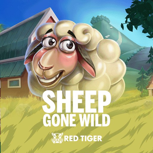 Sheep Gone Wild 