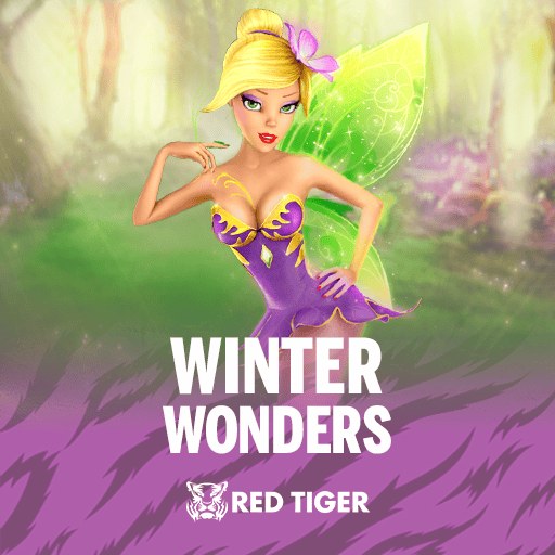 Winter Wonders