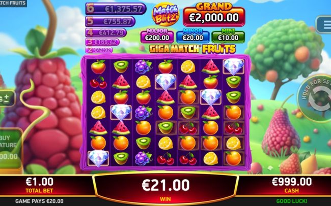 Giga Match® Fruits