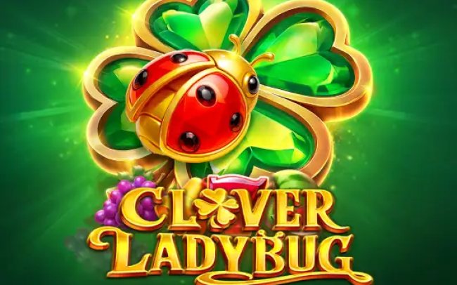 Clover Ladybug