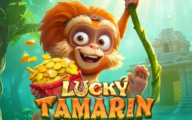 Lucky Tamarin
