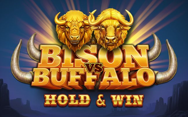Bison vs Buffalo
