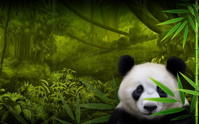 Pandas Run