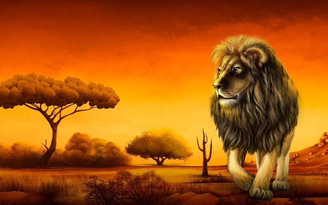 Savannah King