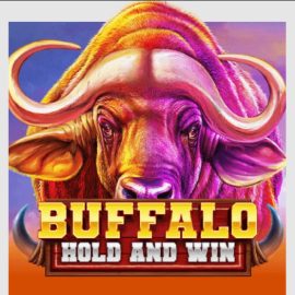 Buffalo Hold and Win