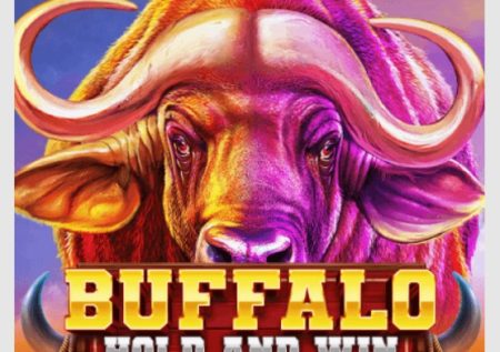 Buffalo Hold and Win