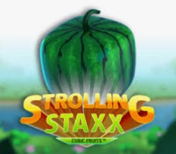 Strolling Staxx 