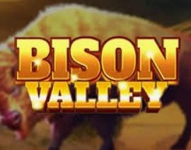 Bison Valley