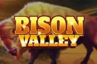 Bison Valley